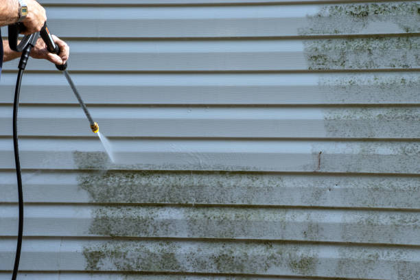 Professional Siding Services in Westwood, MI